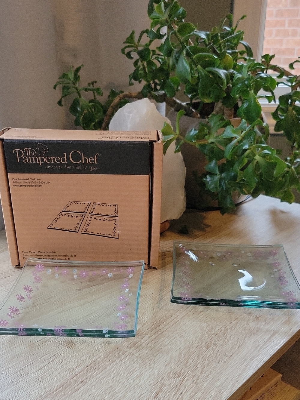 The Pampered Chef Daisy Dessert Plates 2818